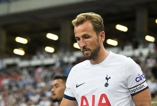 入选者不仅 入选者不仅