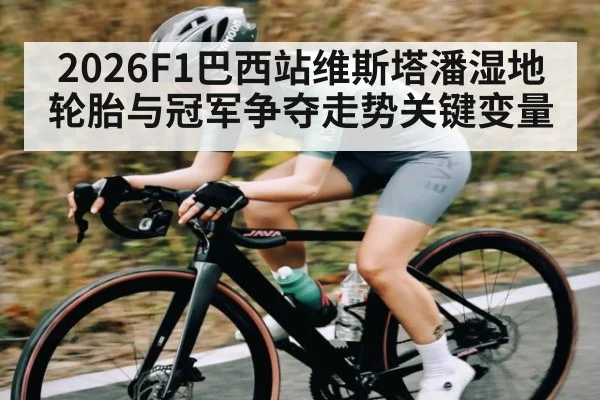 2026F1巴西站维斯塔潘湿地轮胎与冠军争夺走势关键变量